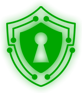 Shield Icon